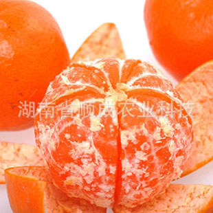 w.默科特 紅茂谷柑